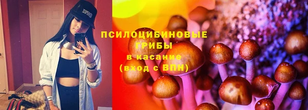 соль курить ск Ладушкин