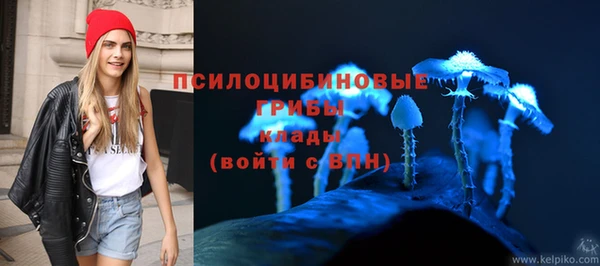 соль курить ск Ладушкин