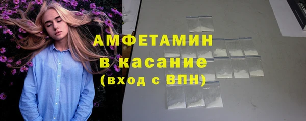 гидра Липки