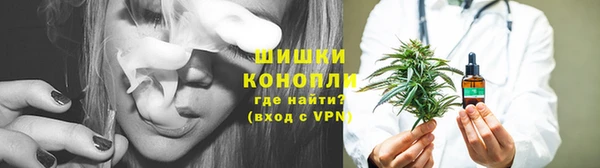 гидра Липки