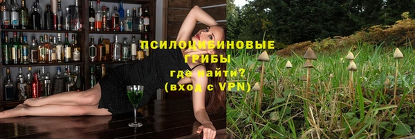 мяу мяу мука Лабытнанги